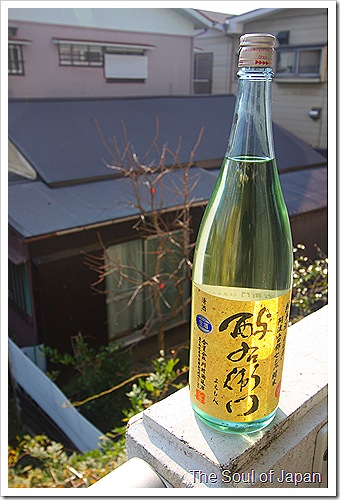 IMG_6019 IMG_6019