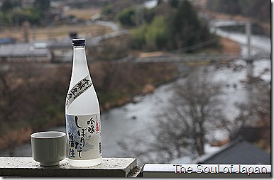 IMG_6231 IMG_6231