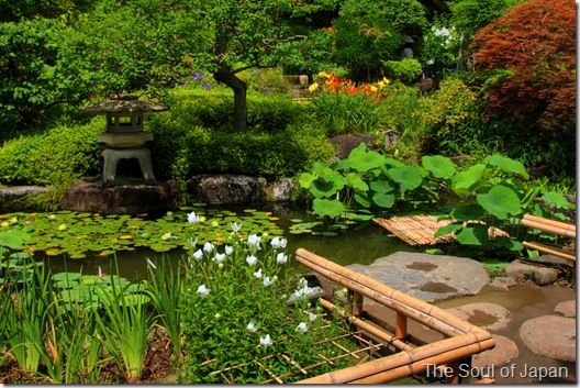 garden garden