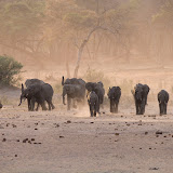 © Sue Flood: Elephants, Hwange National Park, Zimbabwe &ndash; 25-Oct-2007