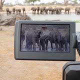 © Sue Flood: Filming Elephants, Hwange National Park, Zimbabwe &ndash; 25-Oct-2007