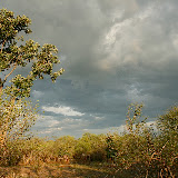 © Karen Partridge: Mosi-oa-Tunya National Park, Zambia