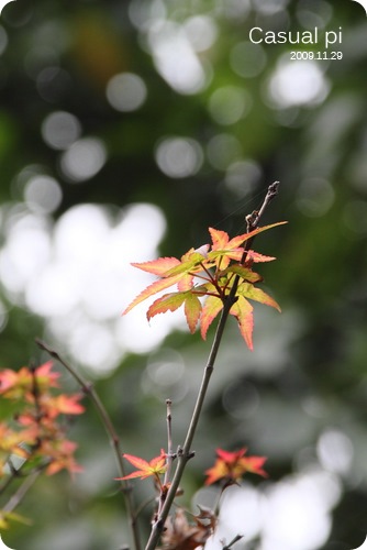 IMG_0165