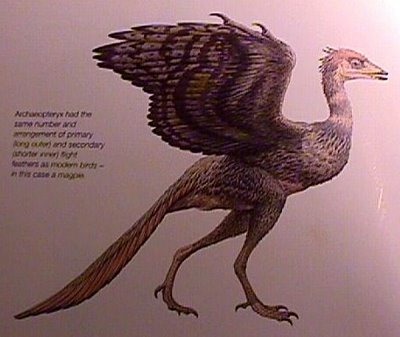[pássaro-dinossauro[4].jpg]