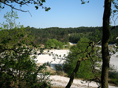 Parcours Ganzelveldwandeling - Groet Schoorl Forêt et Dunes