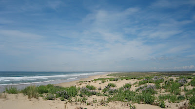 Grand Plage