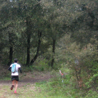 trail du Pertuis 2010