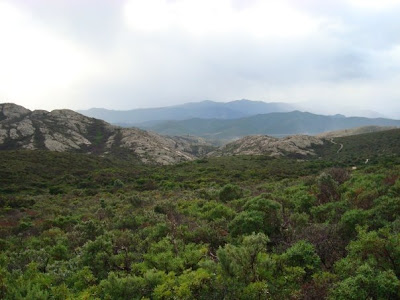Corsica coast race