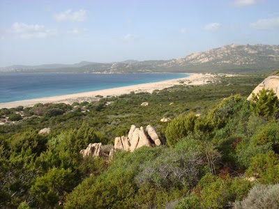 Corsica coast race