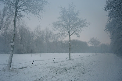 neige sur Delft