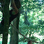 kamp 08 085.jpg