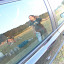 kamp etc 085.jpg