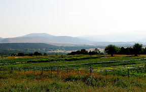 Across the field from above.