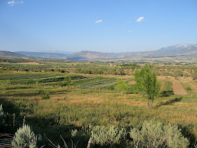 a view of the farm from the ditch road 3 of 4 (big block of veggies in the center)