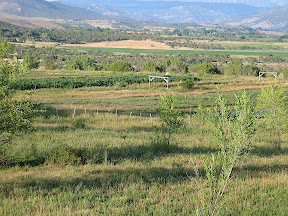 another sweep across the fields 1 of 5