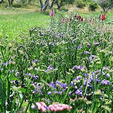 Shots of Round Earth Aug 2009