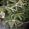 DSCN2230.jpg
