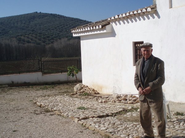 La sombra de los Olivos