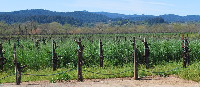 [rr valley[5].jpg]
