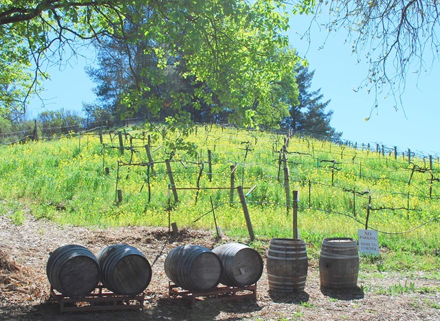 [acorn barrels[4].jpg]