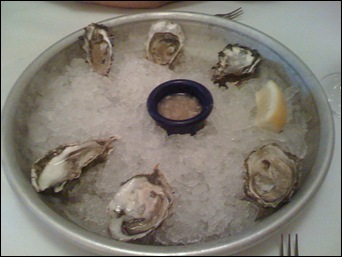 oysters