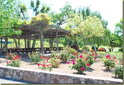 picnic grounds 2