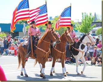 horses