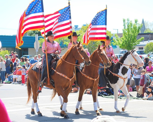 [horses[4].jpg]