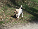 IMGP0424.JPG