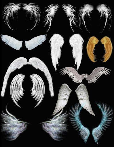 Angel wings | Downloa