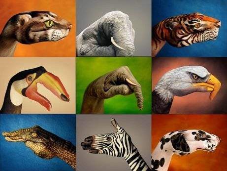 Wallpapers - Body art animals nicegfx.com