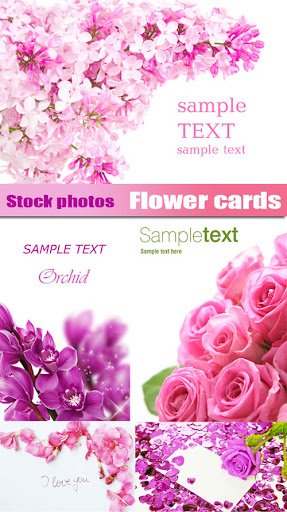 Flower cards nicegfx.com