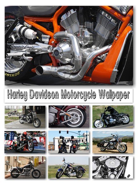 80 Harley Davidson Motorcycle Wallpapers nicegfx.com