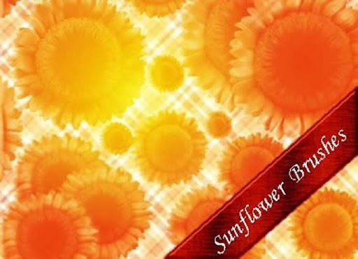 Sunflowers Brushes Photoshop nicegfx.com