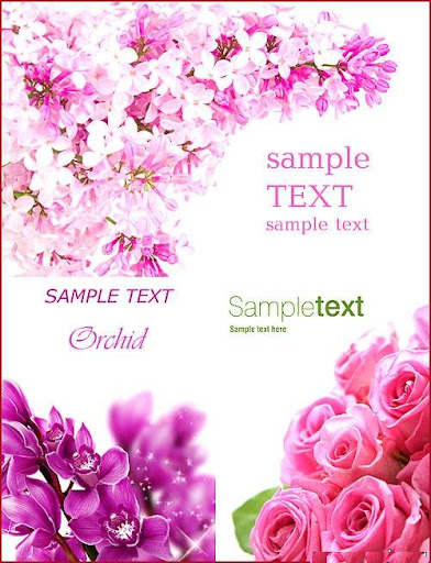 Orchid Flower cards nicegfx.com