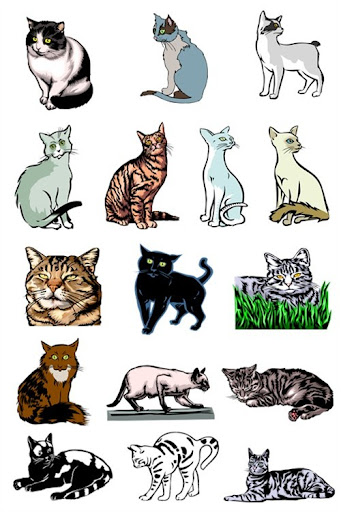 Cats nicegfx.com