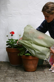 Small Easy Fleece Jackets - Easy to wrap container plants