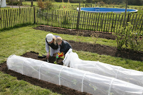 Easy Poly Tunnel - Easy access to plants