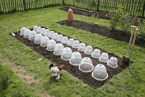 Original Victorian Bell - protection against Chickens!
