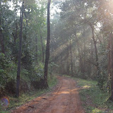 Beams to enlight.jpg