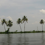 coconut parad.jpg