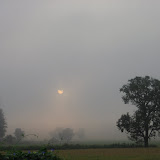 Picture 001.jpg