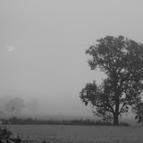 Picture 003.jpg