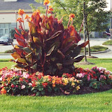 images-Seasonal Color-flowers_3.jpg