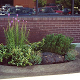 images-Landscape Design and Installation-lnd_dsn_32.jpg