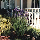 images-Landscape Design and Installation-lnd_dsn_13.jpg