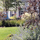 images-Landscape Design and Installation-landscape_b2.jpg