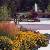 images-Landscape Design and Installation-lnd_dsn_28.jpg