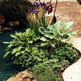 images-Landscape Design and Installation-lnd_dsn_29.jpg