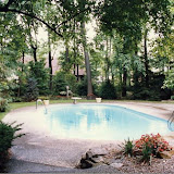 images-Pool Environments and Pool Houses-Pools_16.jpg